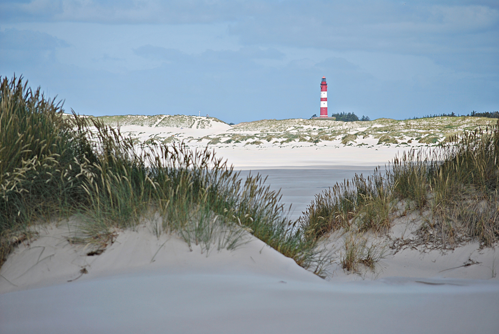 Dünenlandschaft... 4