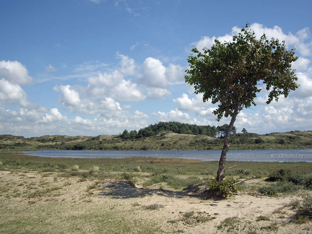 Dünenlandschaft