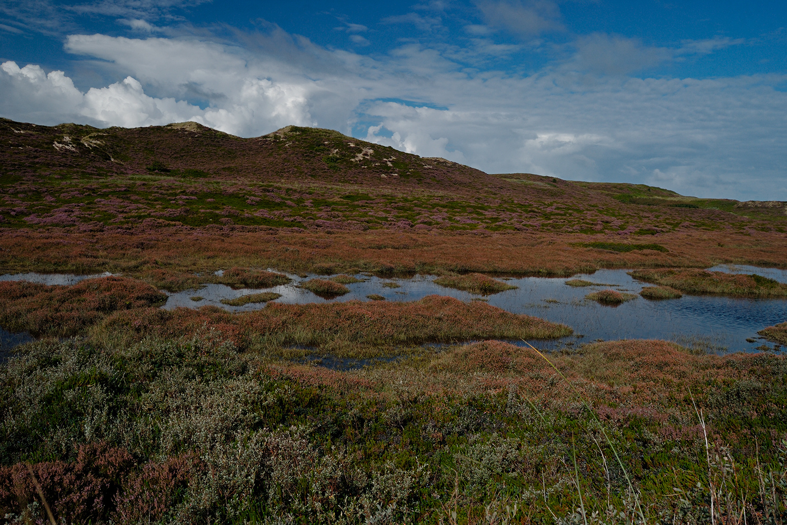 Dünenlandschaft