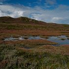 Dünenlandschaft