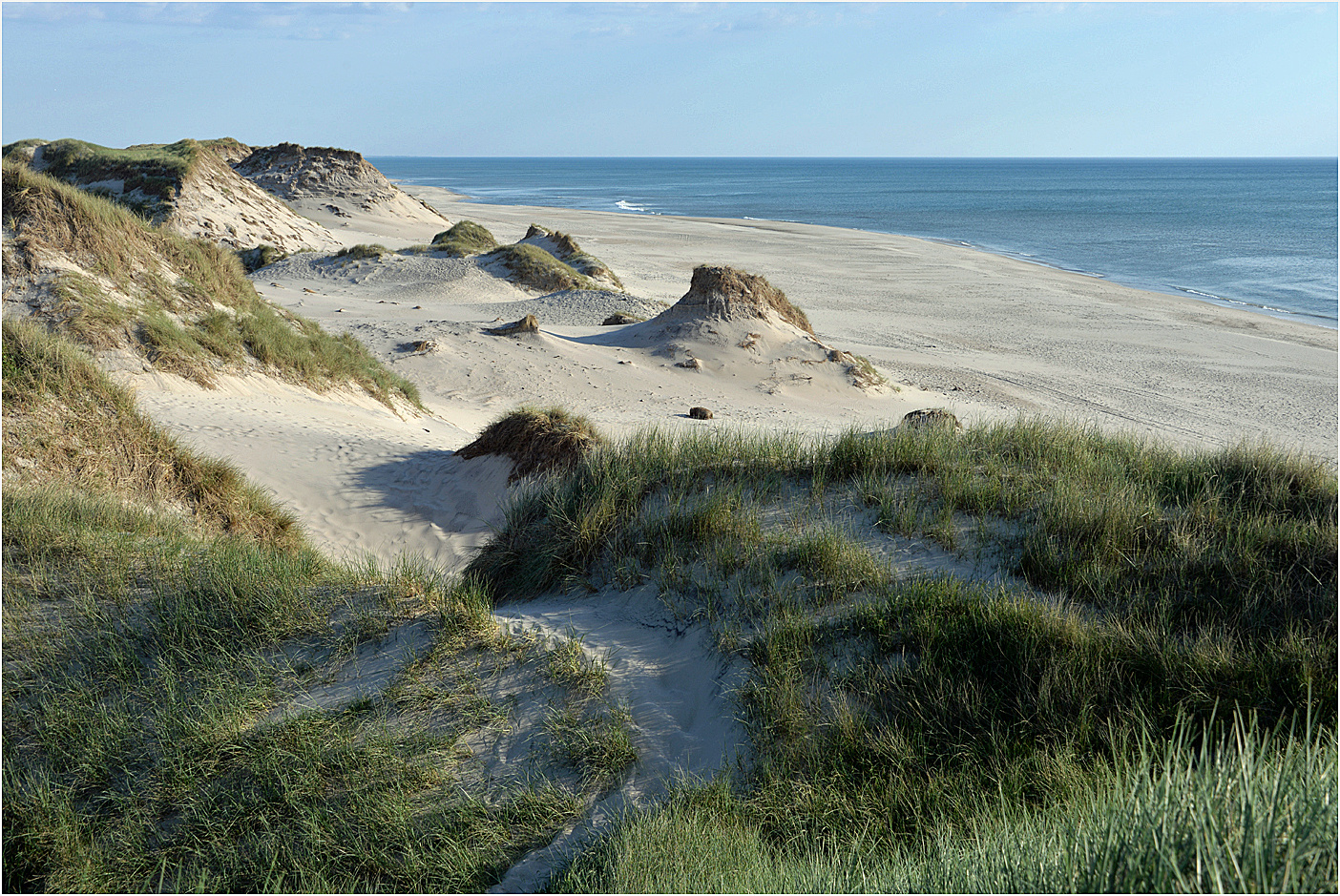 Dünenlandschaft