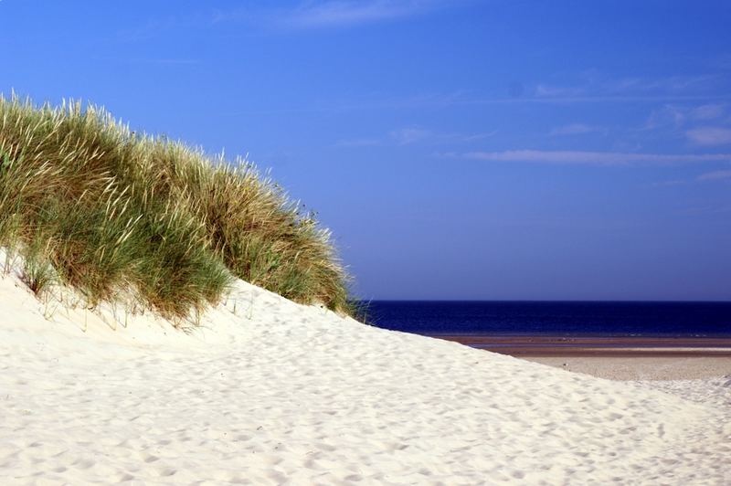 ... Dünenlandschaft ...