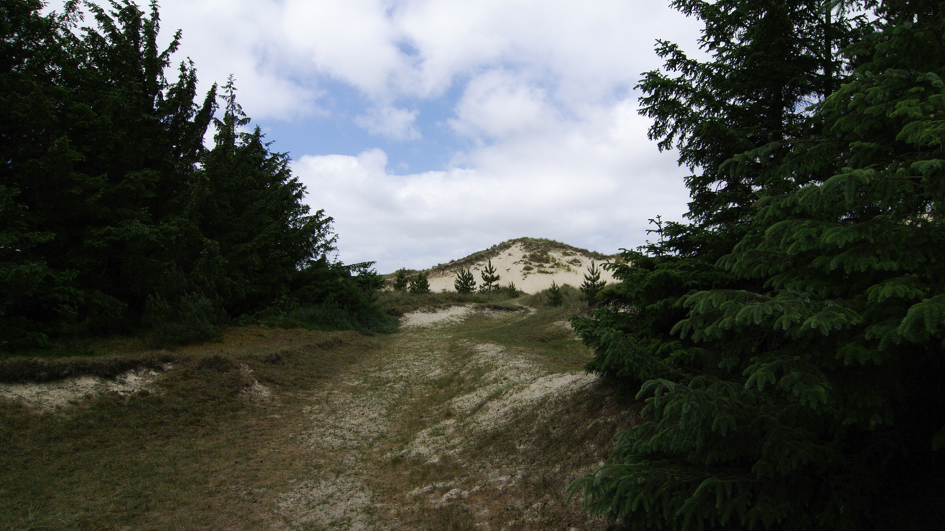 Dünenlandschaft