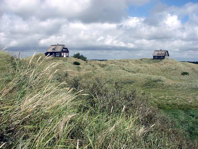 Dünenlandschaft