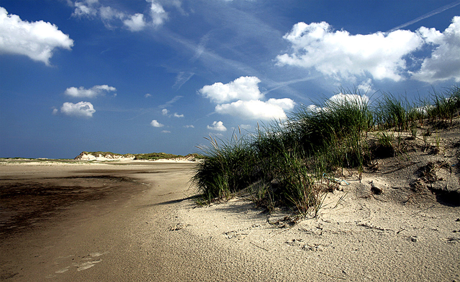 Dünenlandschaft