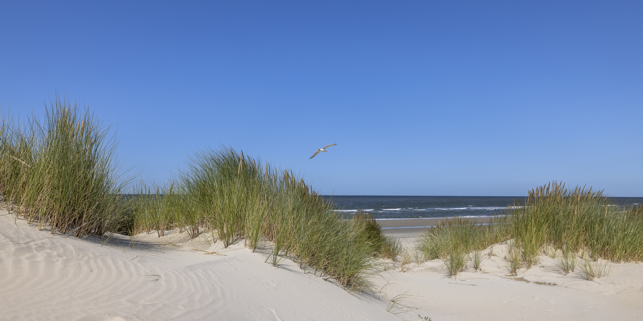 Dünenlandschaft