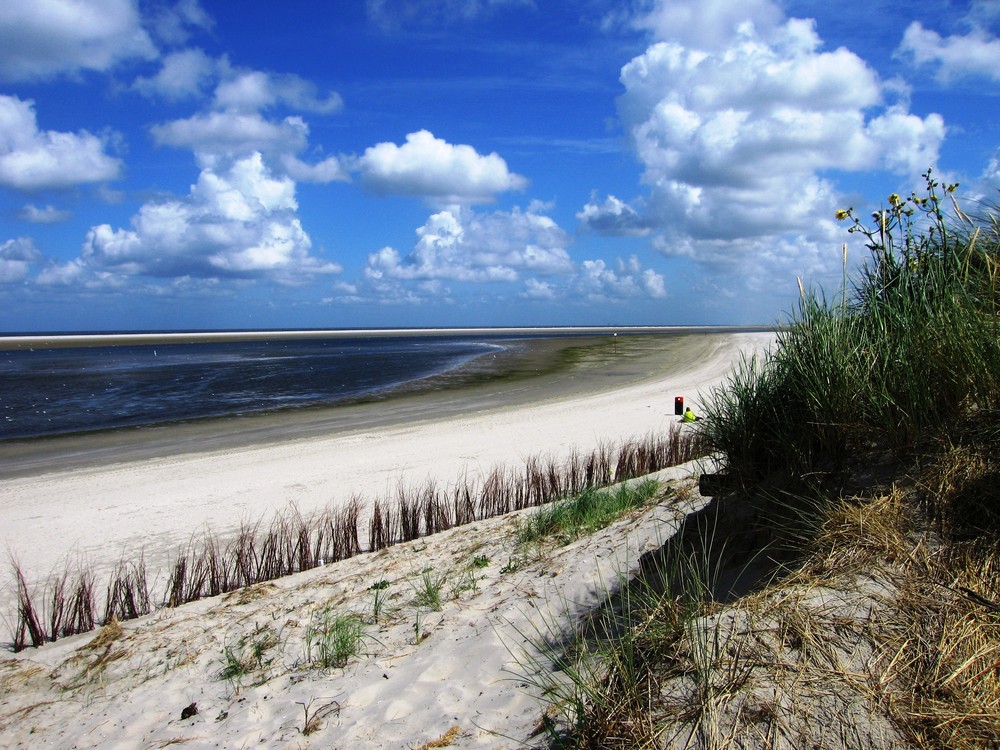 Dünenlandschaft