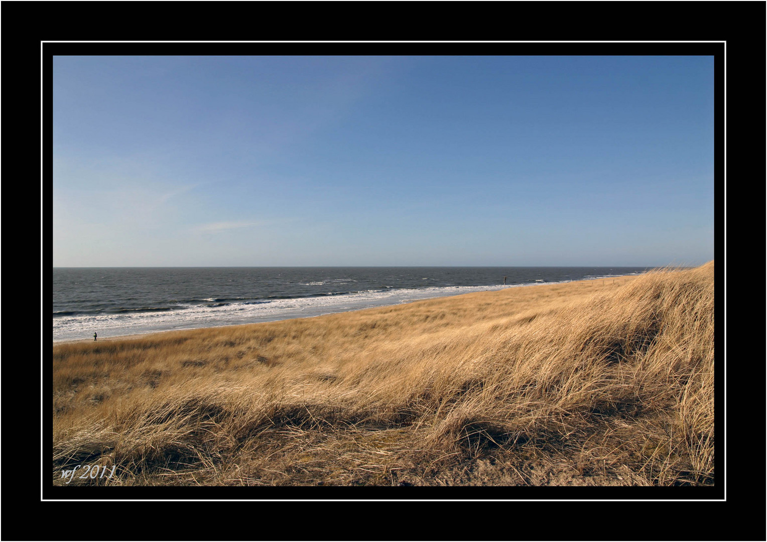 DÜNENLANDSCHAFT