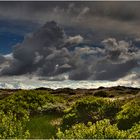 Dünenlandschaft