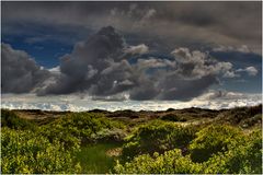 Dünenlandschaft