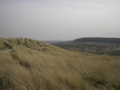 Dünenlandschaft