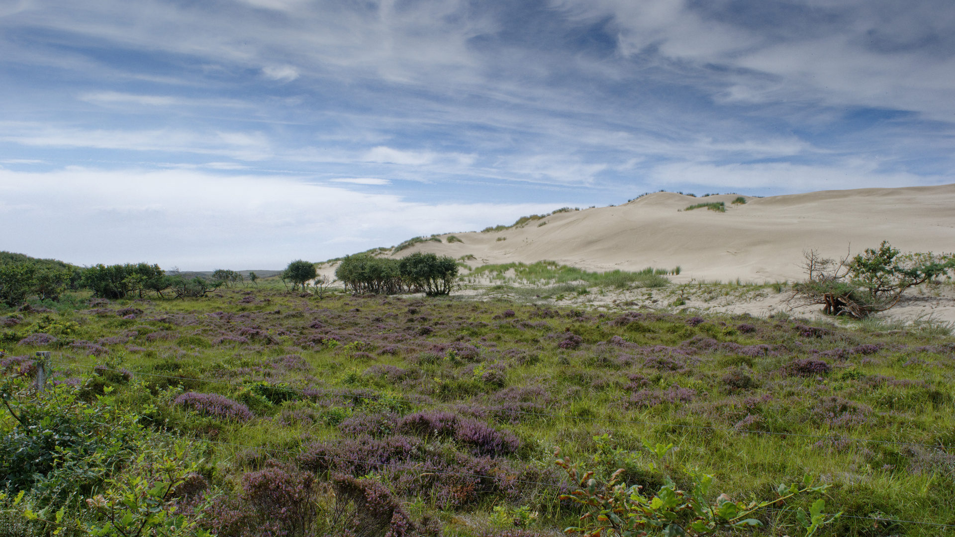 Dünenlandschaft