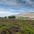 Dünenlandschaft