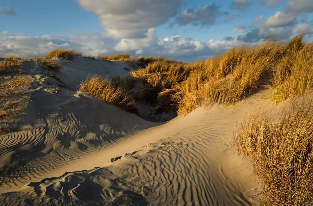 Dünenlandschaft...