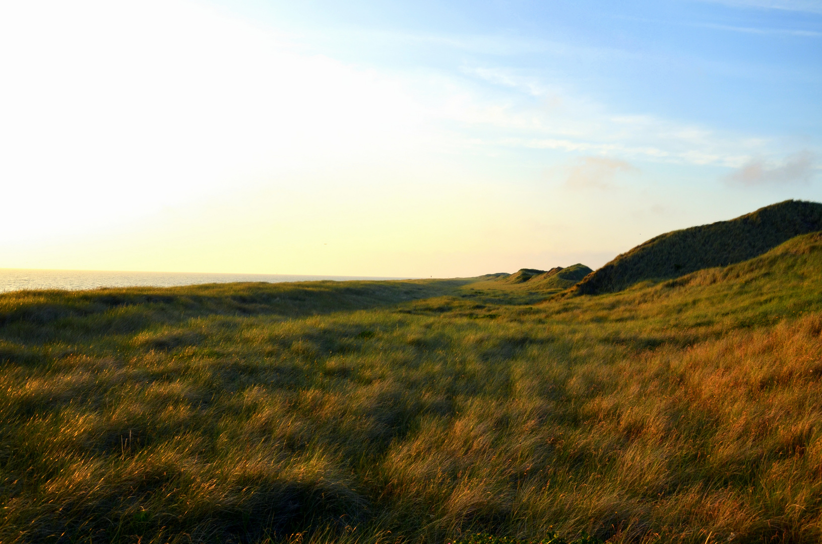 Dünenlandschaft