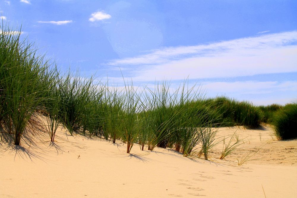 Dünenlandschaft Foto & Bild | landschaft, meer & strand, dünen Bilder