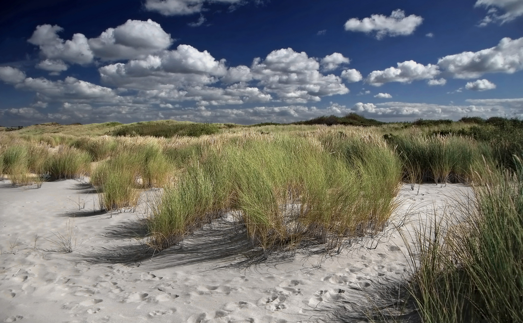 Dünenlandschaft