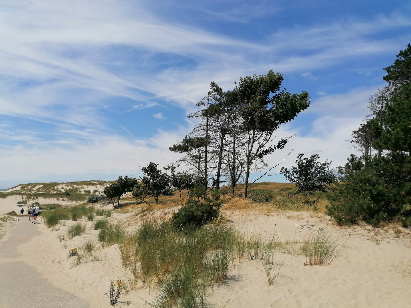 Dünenlandschaft 