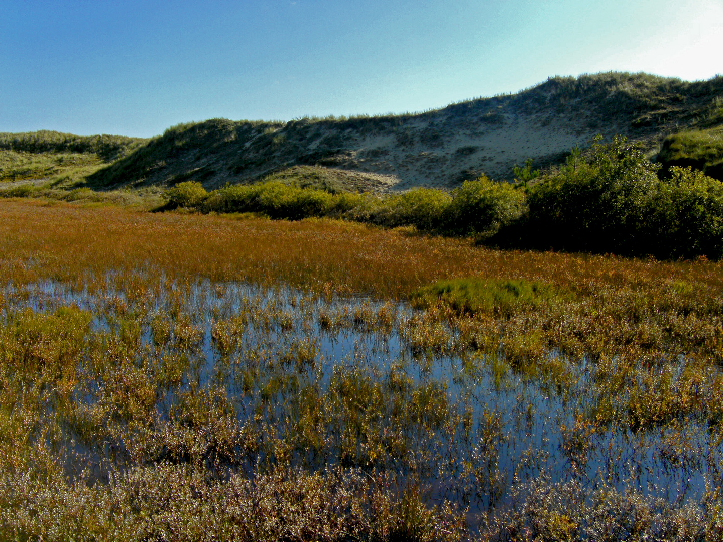 Dünenlandschaft