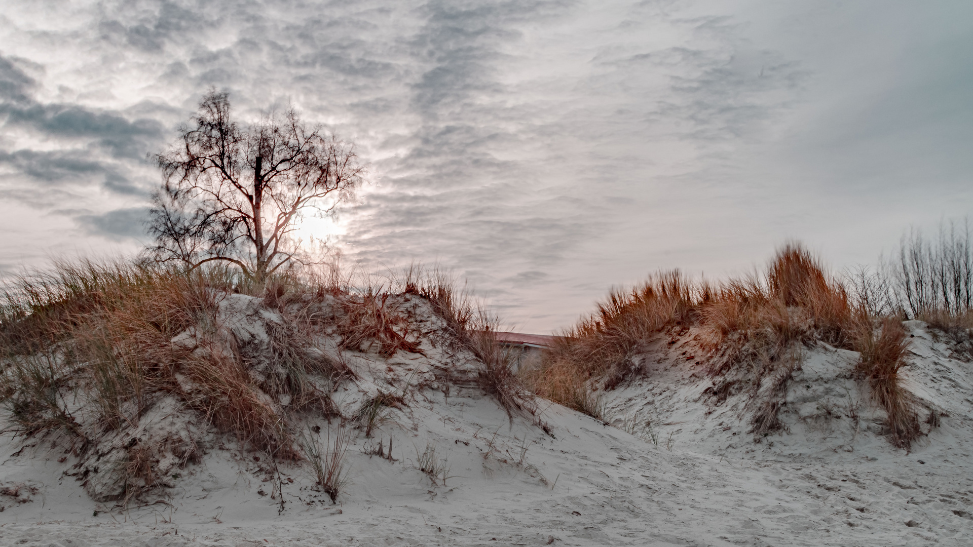 Dünenlandschaft- als wäre Schnee gefallen