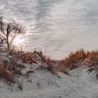 Dünenlandschaft- als wäre Schnee gefallen