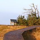 Dünenlandschaft am Darßer Ort