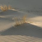 Dünenlandschaft am Ellenbogen-Listland-Sylt