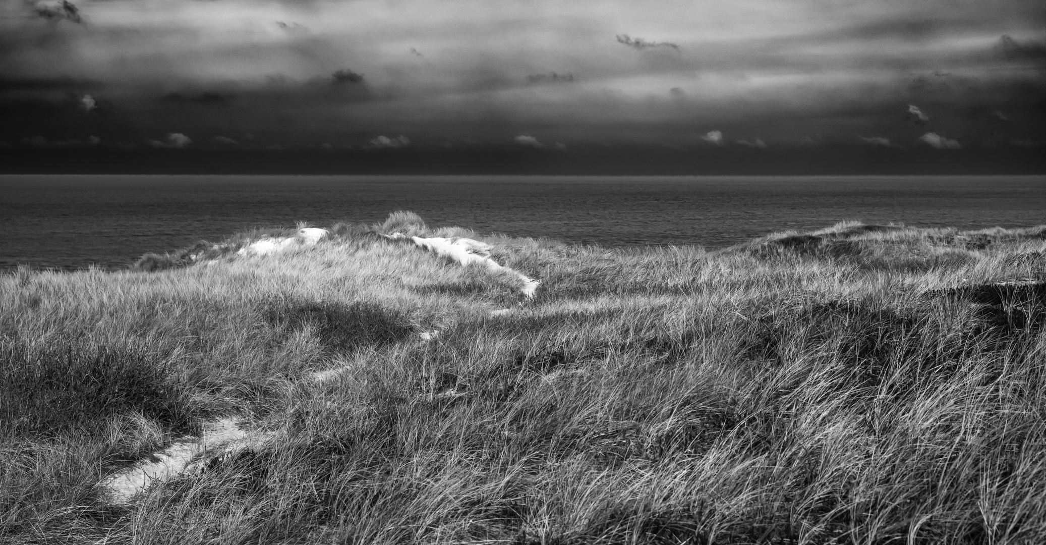 Dünenlandschaft am Meer - 1 #bw