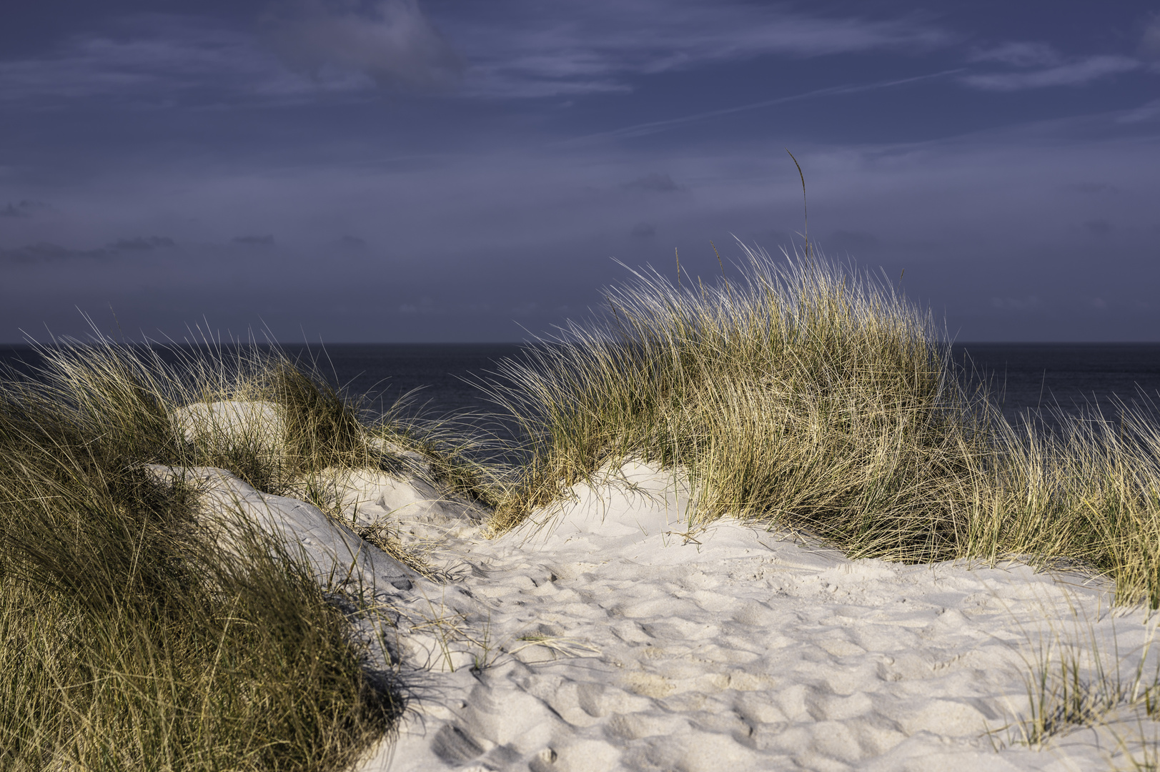 Dünenlandschaft am Meer - 2