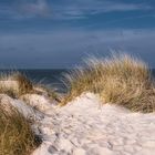 Dünenlandschaft am Meer - 2