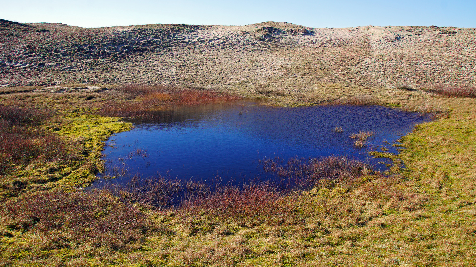 Dünenlandschaft am Ostheller