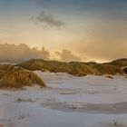 Dünenlandschaft am Saltum Strand