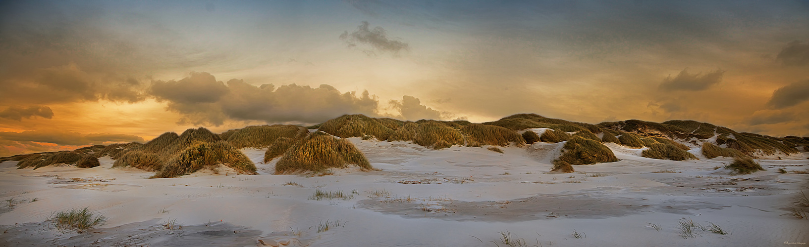 Dünenlandschaft am Saltum Strand