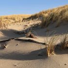 Dünenlandschaft am Weststrand auf Sylt