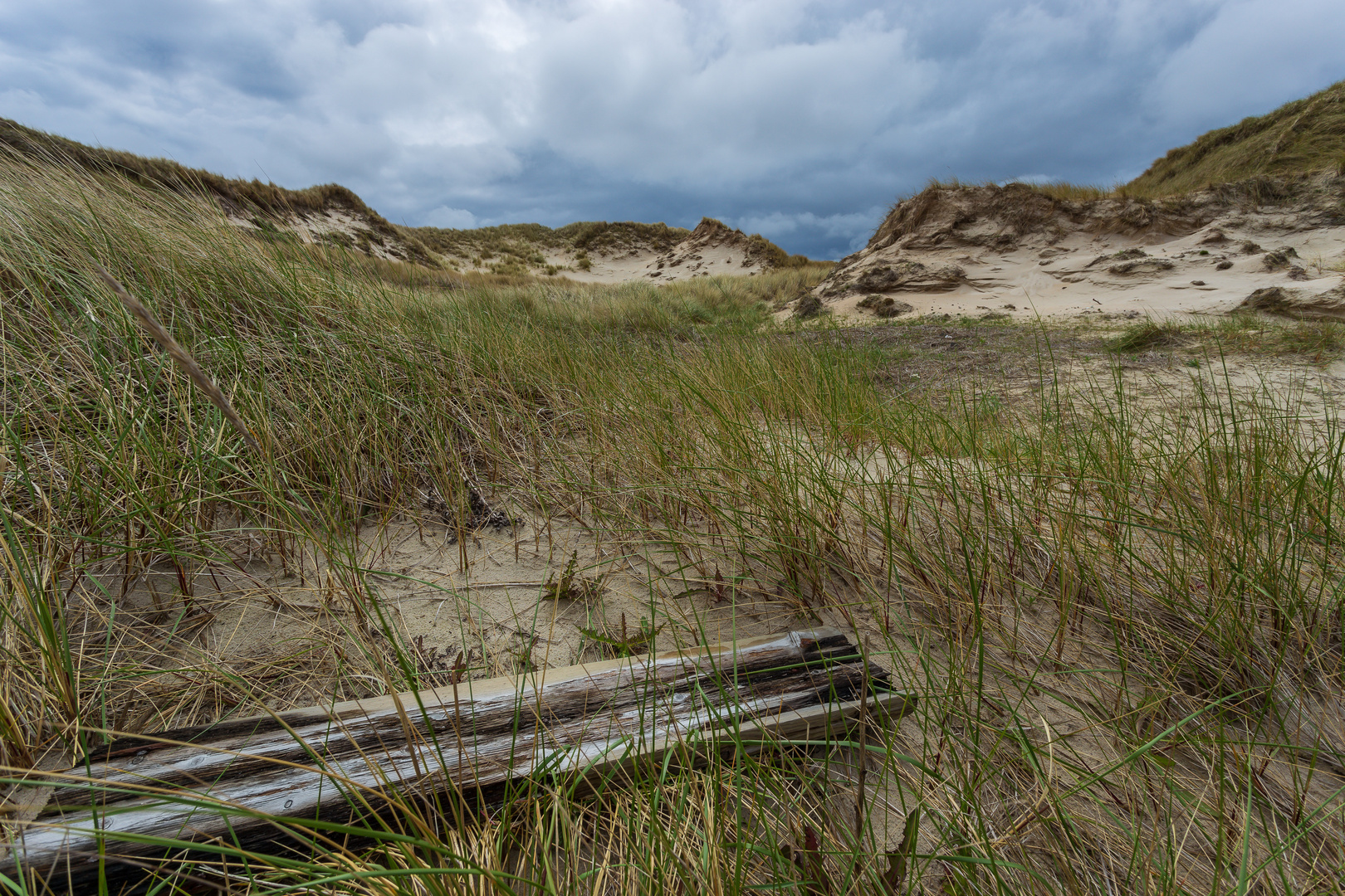 Dünenlandschaft Amrum