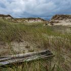 Dünenlandschaft Amrum