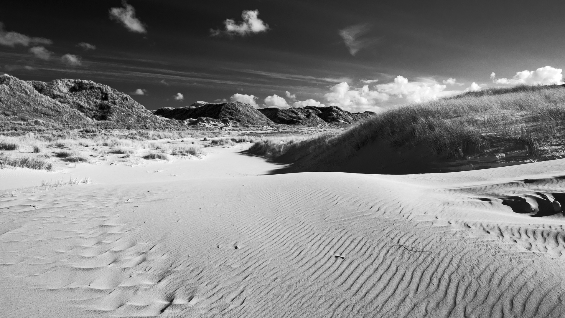 Dünenlandschaft Amrum s/w