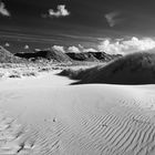 Dünenlandschaft Amrum s/w