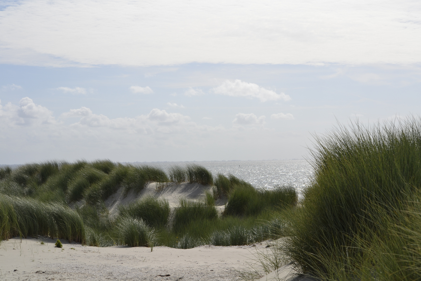 Dünenlandschaft auf Ameland