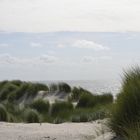 Dünenlandschaft auf Ameland