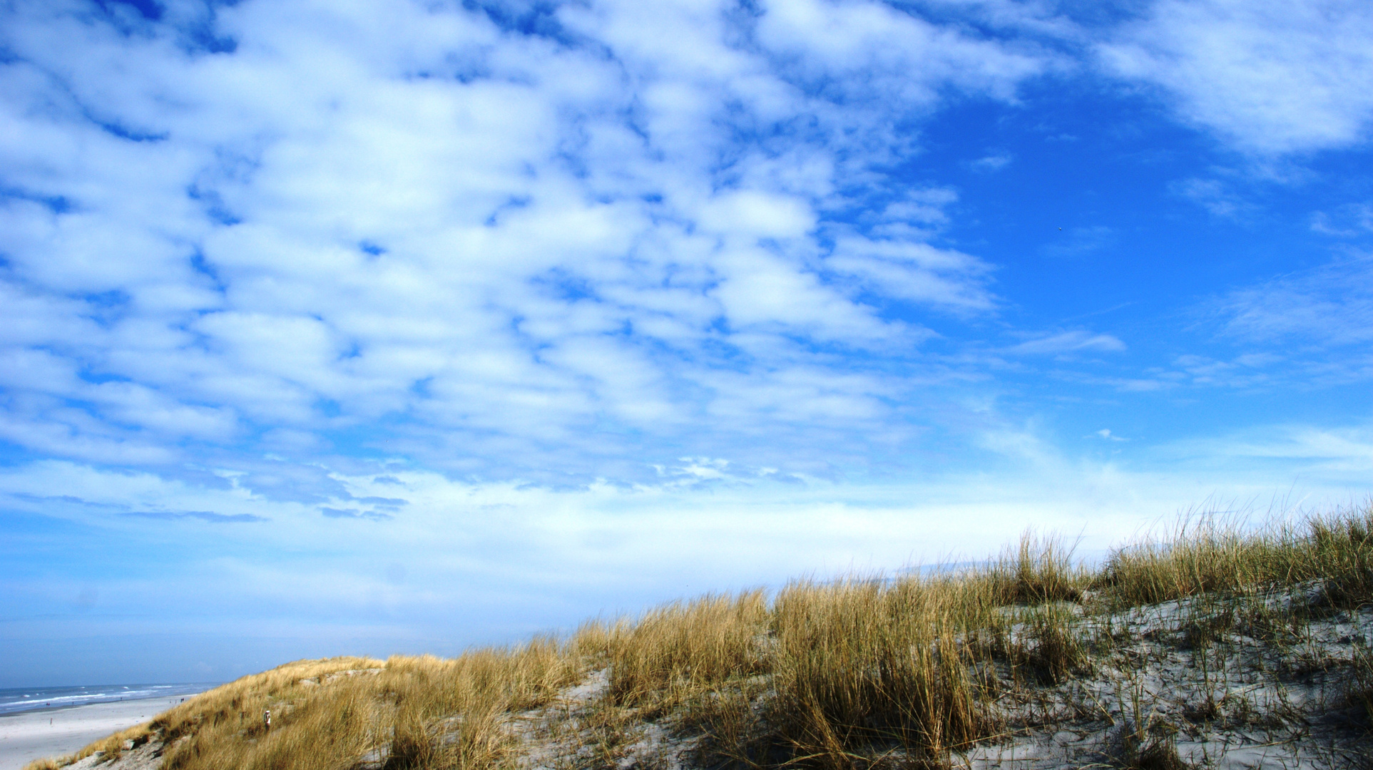 Dünenlandschaft auf Ameland