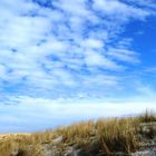 Dünenlandschaft auf Ameland