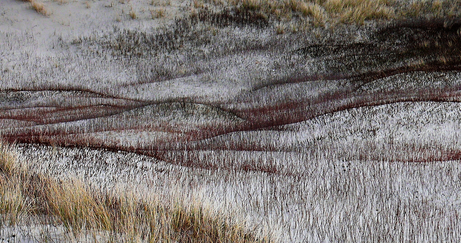 Dünenlandschaft auf Amrum