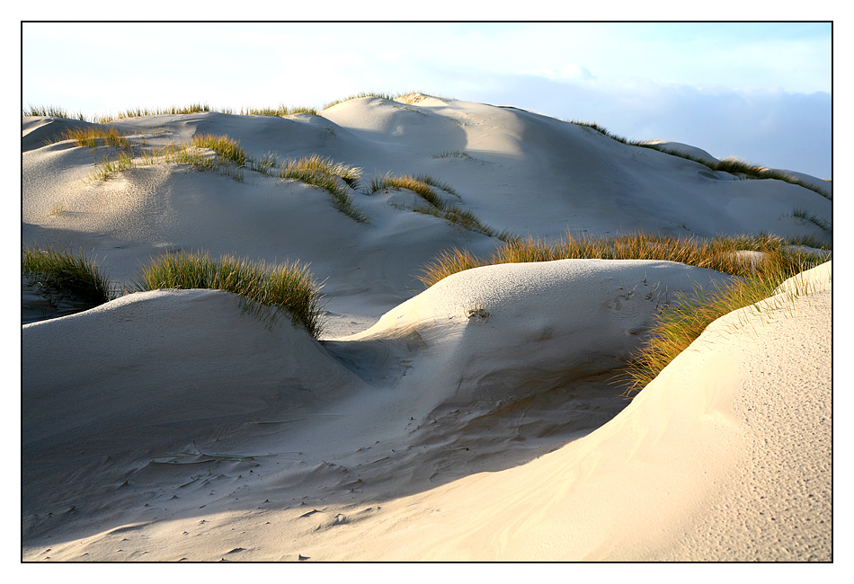 Dünenlandschaft auf Amrum 1