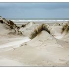 Dünenlandschaft auf Amrum 2