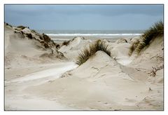 Dünenlandschaft auf Amrum 2