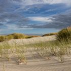 Dünenlandschaft auf Amrum