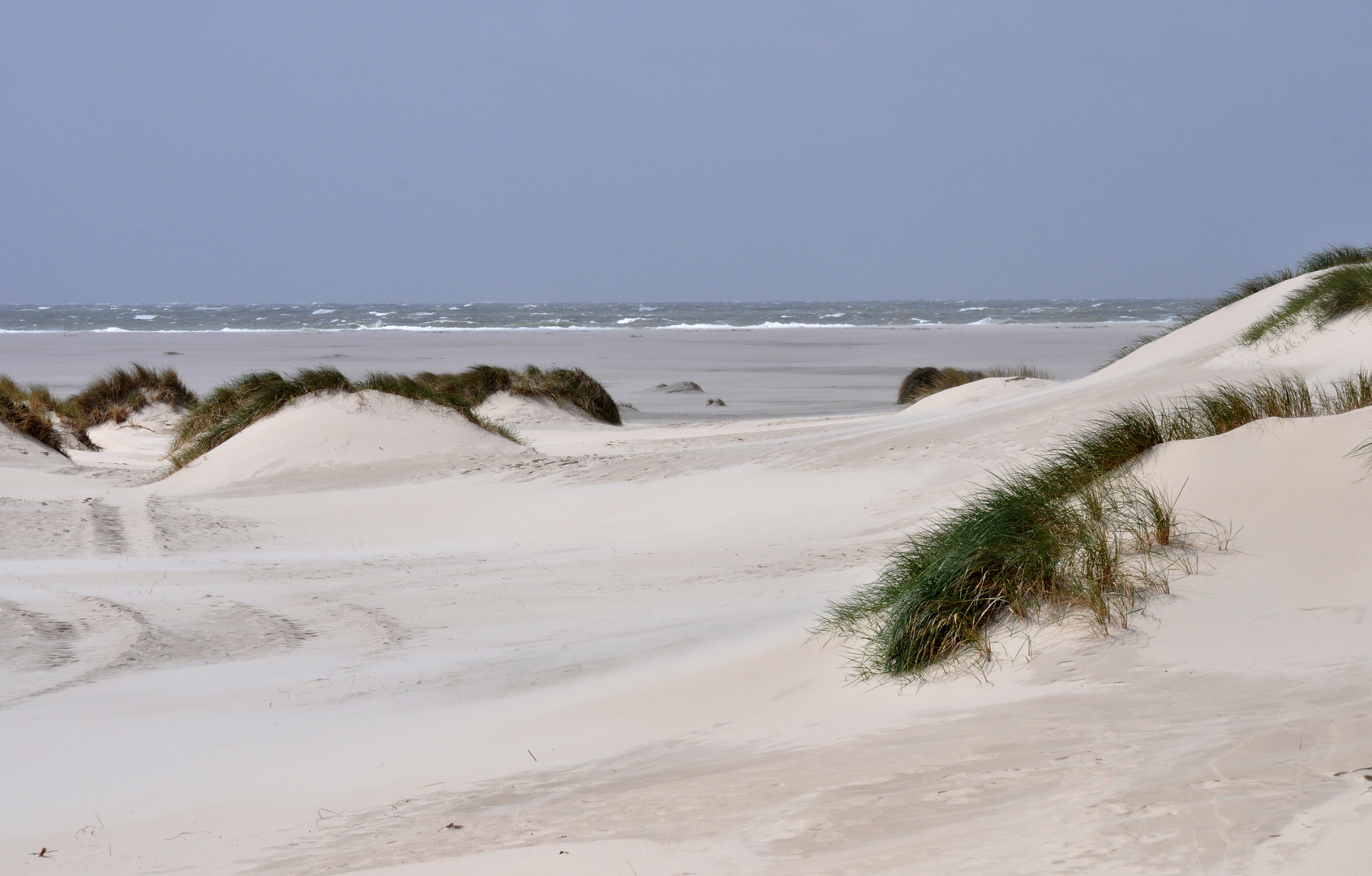 Dünenlandschaft auf Amrum