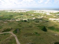 Dünenlandschaft auf Amrum