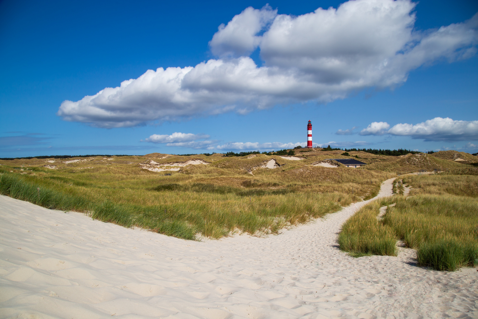 Dünenlandschaft auf Amrum